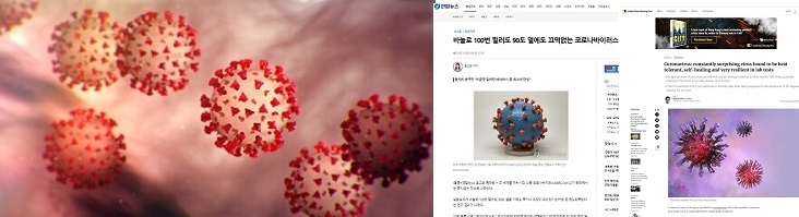 [피치원뷰]한국 언론이 ‘코로나,바늘로 100번찔러도 안죽어”집단오보낸 사연