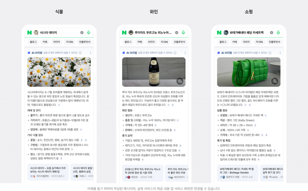 [이미지] 네이버 스마트렌즈xAI브리핑(2)