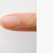 삼성전자, 세계 최초 HBM4E 12단 개발성공,HBM주도권 쥐나?