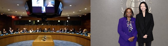 네이버 최수연 대표,UN글로벌컴팩트 이사회참석,네이버AI도구 활용제안